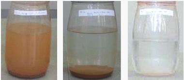 Purification de l'eau avec Moringa Oleifera