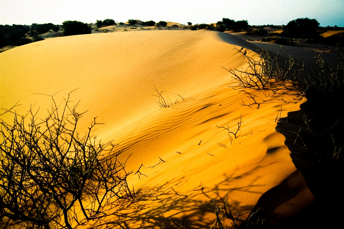 kalahari-desert-landscape