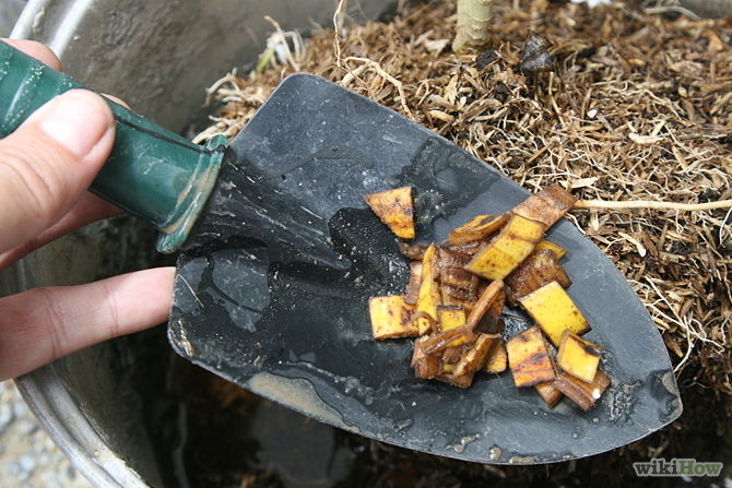 utiliser les peaux de bananes pour compost-Use-Banana-Peels