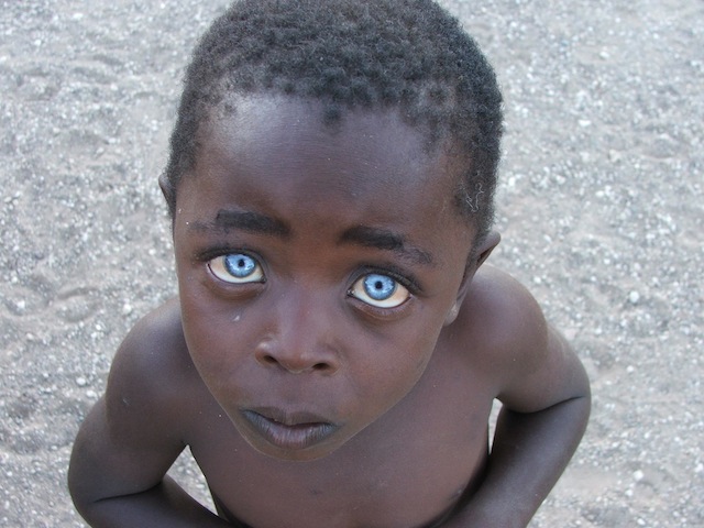 noir aux yeux bleus 