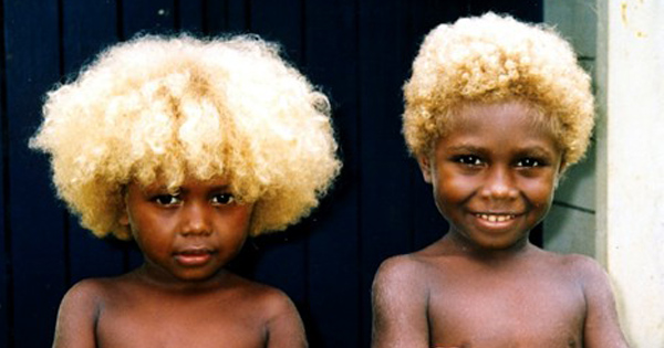 Les Noirs Aux Cheveux Blonds Les Melanesiens D Australie Afroculture Net
