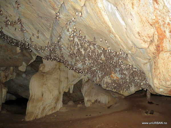 Discover the Gcwihaba Caves in Botswana – Afroculture.net