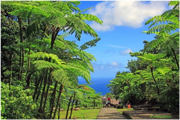 Guadeloupe National Park – Guadeloupe Travel – Afroculture.net