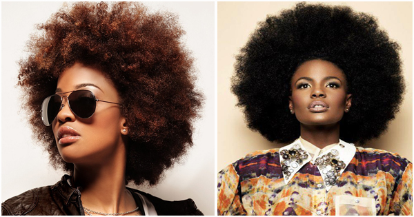 Afro Hairstyle Inspiration 