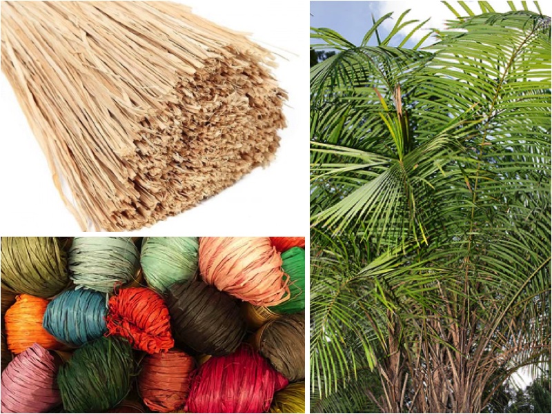 Le Raphia Tissu Traditionnel Du Gabon Madagascar Et Du Congo 